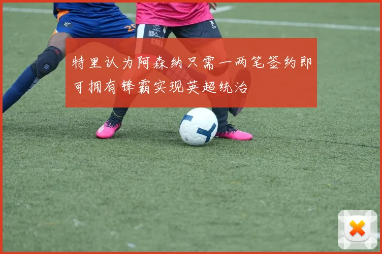 特里认为阿森纳只需一两笔签约即可拥有锋霸实现英超统治
